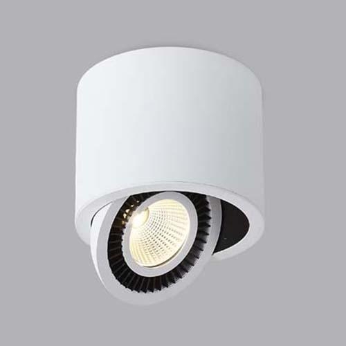   DL18700 DL18700/11WW-White Dim