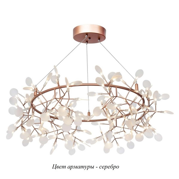   Heracleum 9022-162S