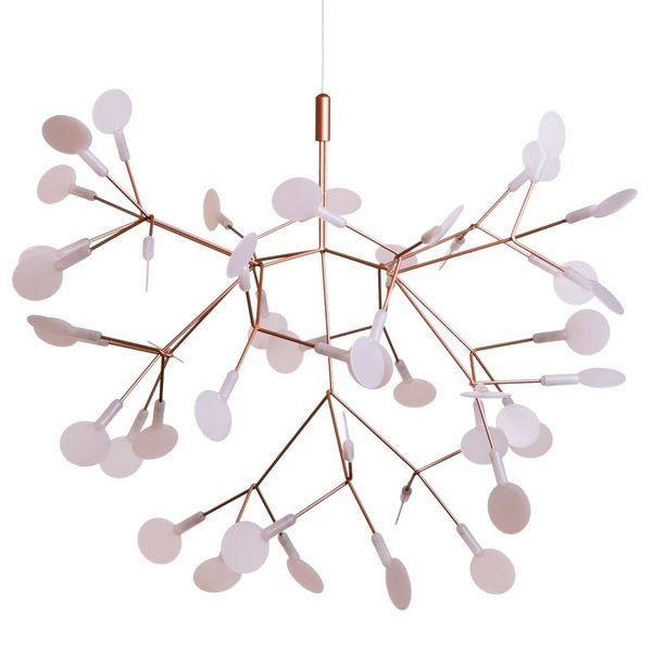   Heracleum 9022-45