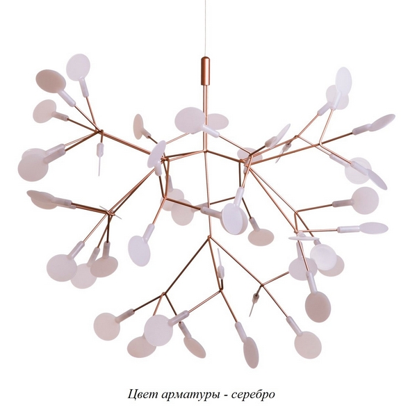   Heracleum 9022-45S