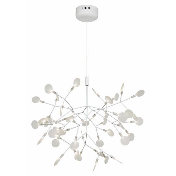   Heracleum 9022-45W