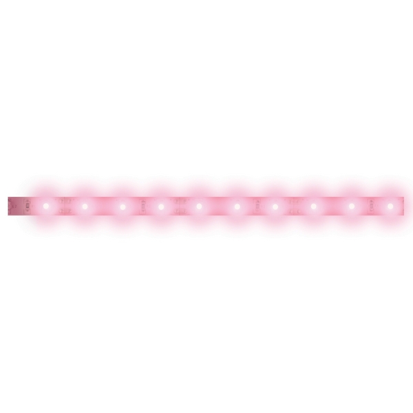    ULS-N21-2835-120LED/m-8mm-IP67-220V-8W/m-50M-PINK 