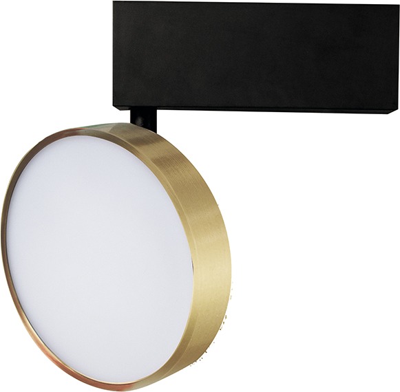   Luna DL18791/Brass 24W