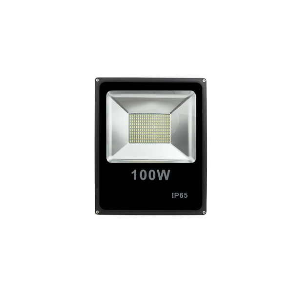    FL-SMD-100-WW